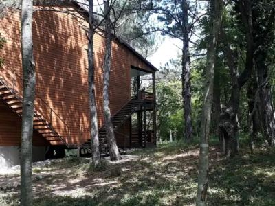 Зелёный Бор - 25