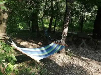 Зелёный Бор - 12