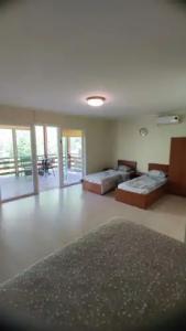 Зелёный Бор - 56