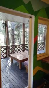 Зелёный Бор - 43