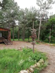 Зелёный Бор - 14