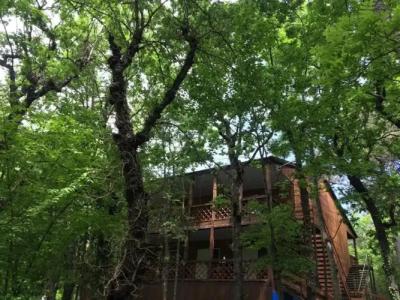 Зелёный Бор - 6