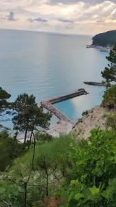 Зелёный Бор - 23