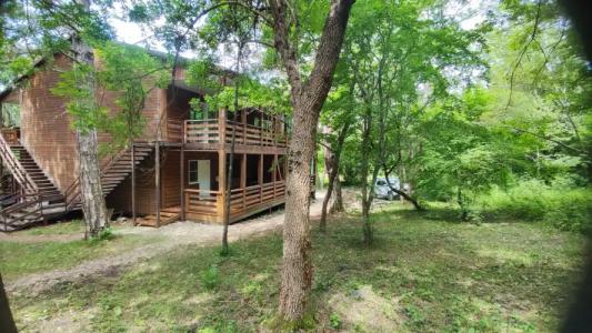 Зелёный Бор - 24