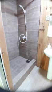 Зелёный Бор - 58