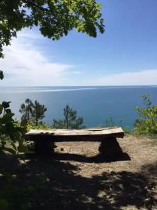 Зелёный Бор - 8