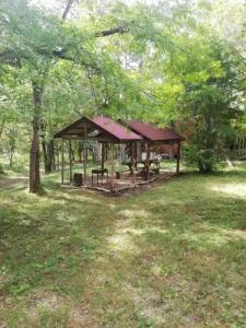 Зелёный Бор - 13