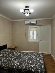 Зелёный Бор - 29