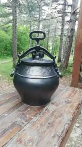 Зелёный Бор - 11