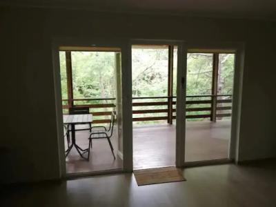 Зелёный Бор - 50