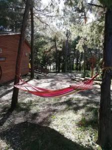 Зелёный Бор - 3