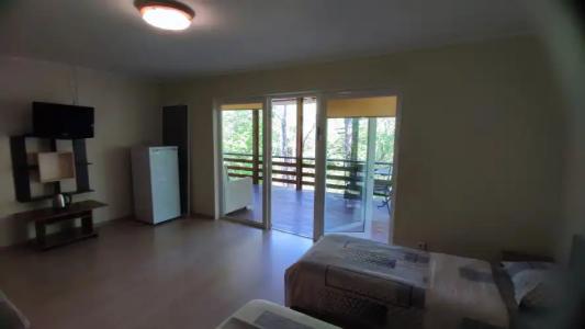 Зелёный Бор - 53