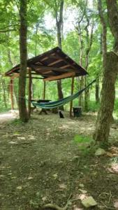 Зелёный Бор - 4