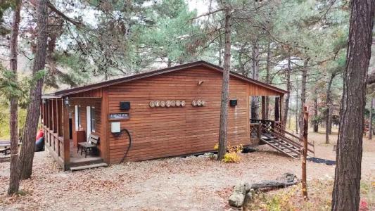 Зелёный Бор - 37