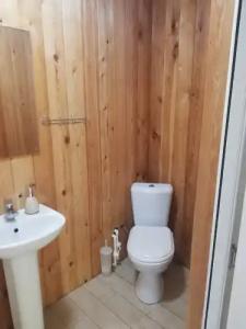 Зелёный Бор - 51