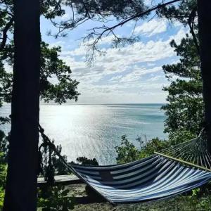 Зелёный Бор - 1