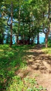 Зелёный Бор - 9