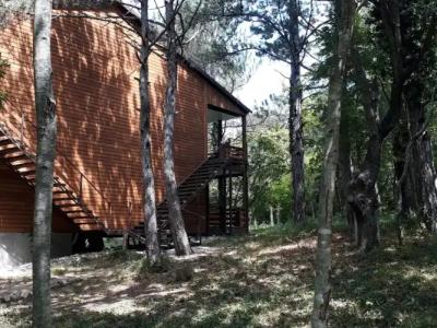 Зелёный Бор - 7