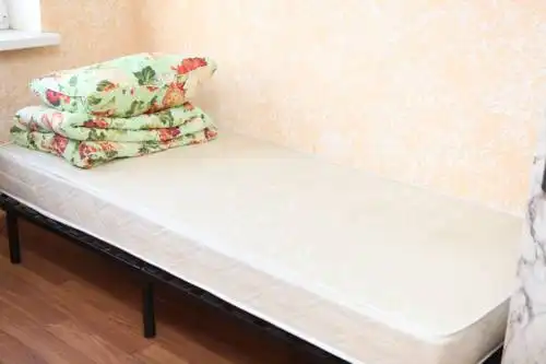 Гусев - 27