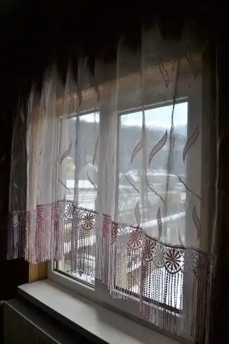 Карпатський Дуб - 13