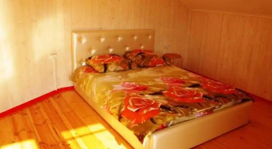 Гостевой дом у леса - 3