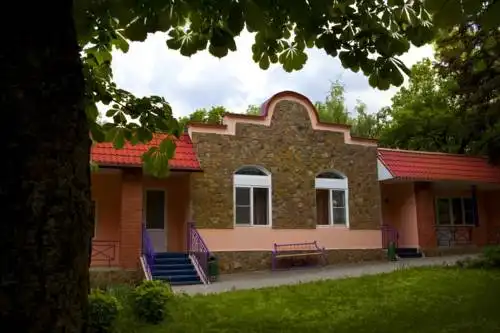 Лесной - 0