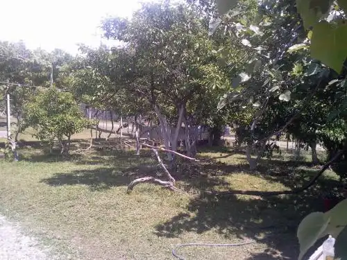 Paradise - 10