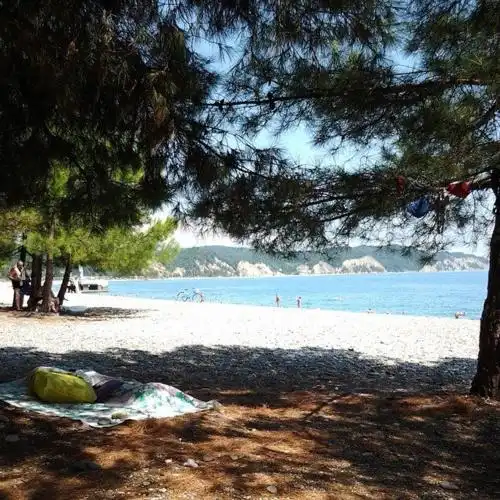 Paradise - 7