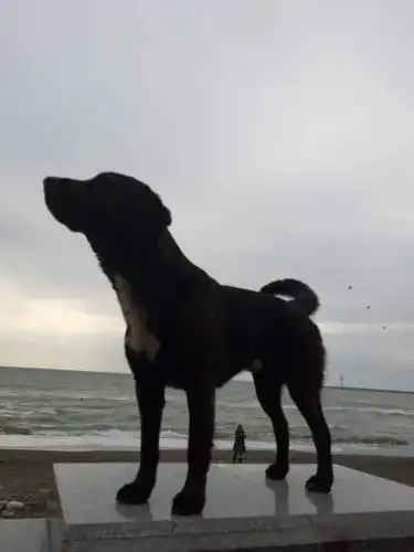 Седьмое Небо - 8