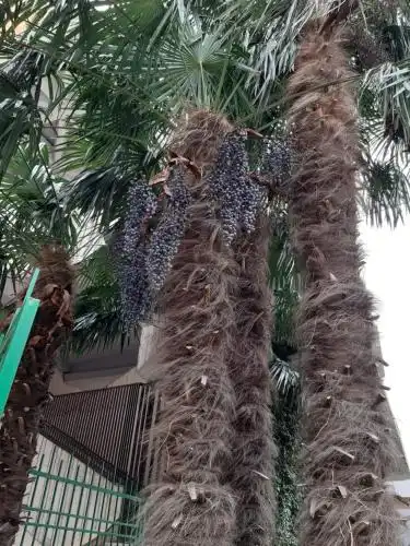 Седьмое Небо - 9