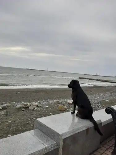 Седьмое Небо - 1