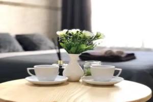 Modern Aparthotel near metro Pecherska