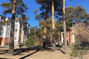 Апартаменты «Люкс в Изумрудном Городке»