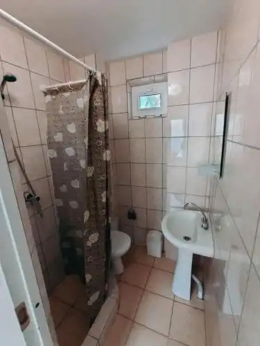Василёк - 65