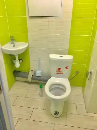 Оса - 28