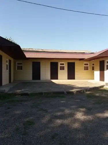 Клён - 6