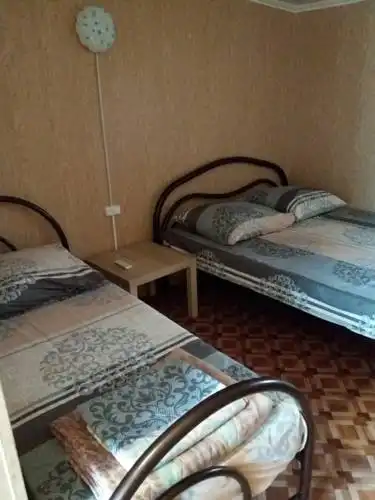 Клён - 4