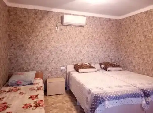 у Эммы и Андроника - 20