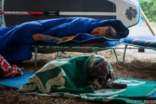 Eco Camping in Miusera - 14