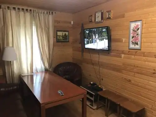 Братина - 28