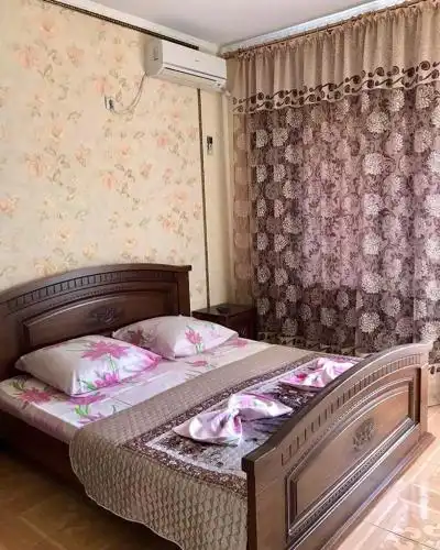 Дельфин - 13