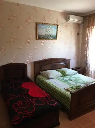 Дельфин - 2