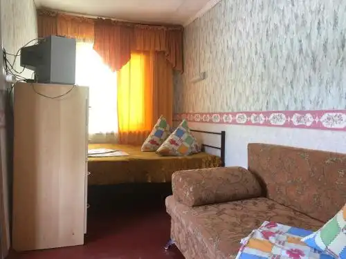 Виола - 12