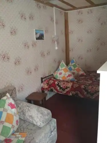 Виола - 3