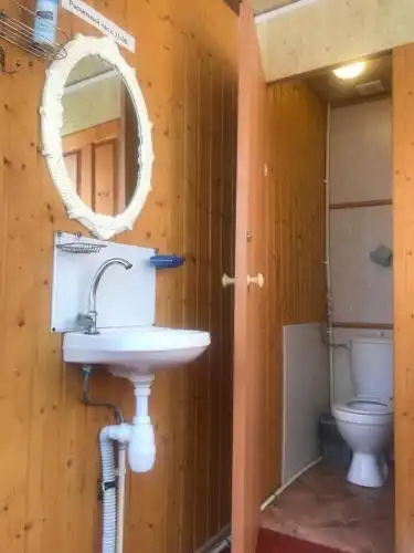 Виола - 21