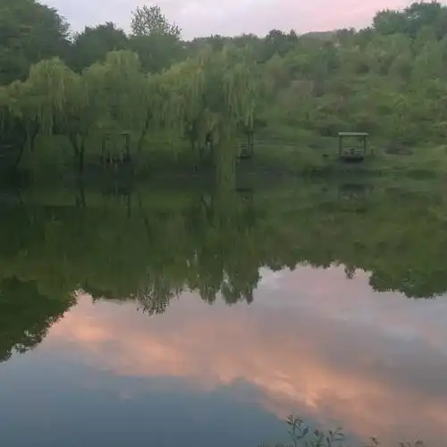 Озеро, баня, рыбалка - 0