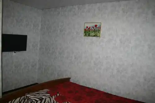 Hostel na Vatutina - 13