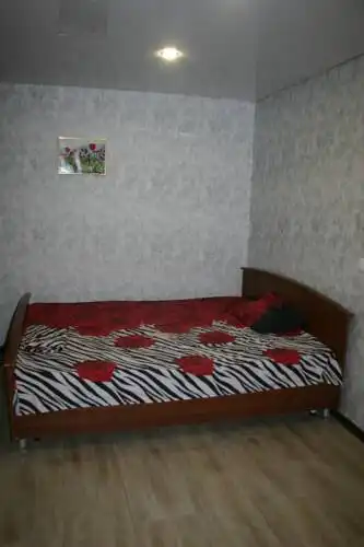 Hostel na Vatutina - 14