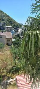 Зеленая гора - 7