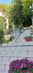 Зеленая гора - 9